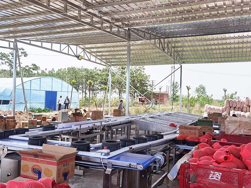 哈密瓜分選機、重量分選機、分級機、分揀機