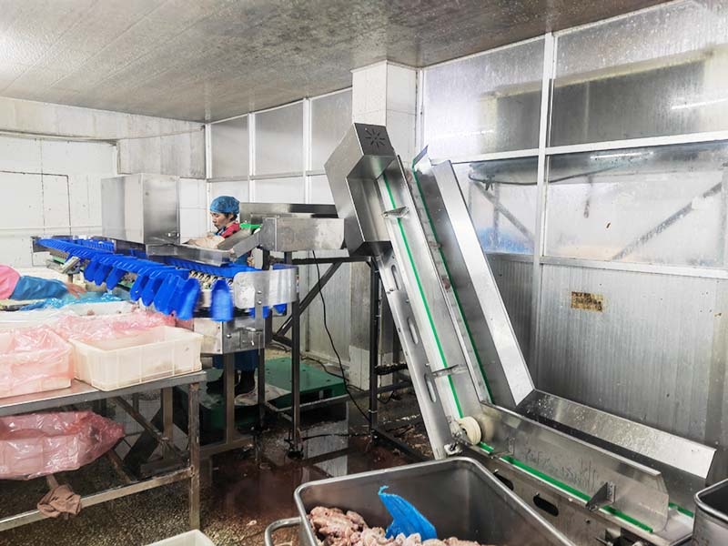 料盒分選機（白條雞鴨、雞瓜、雞脖、翅中、海參、海蠣子、牡蠣、小龍蝦）