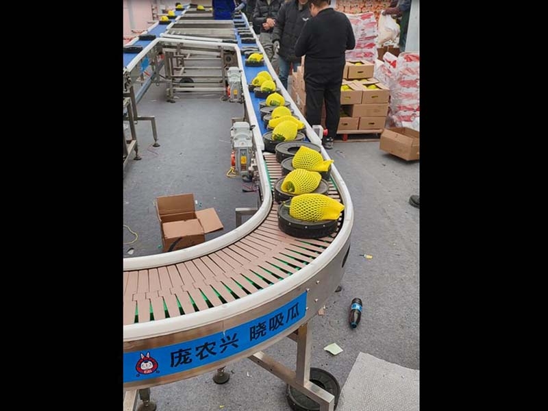 水果分選機(jī)（橙子、柑橘）