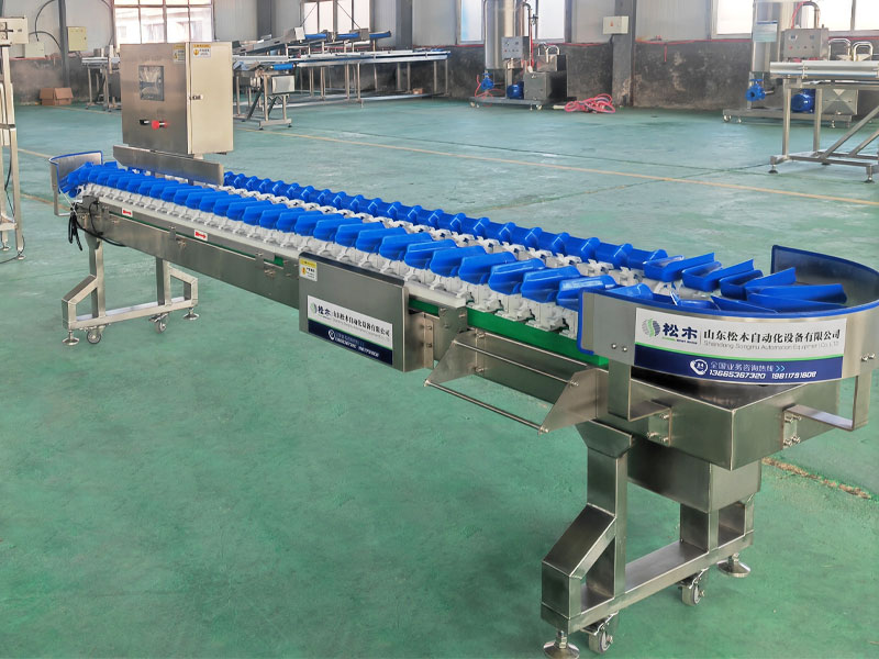 雞爪、雞翅（料盒式）重量分選機(jī)