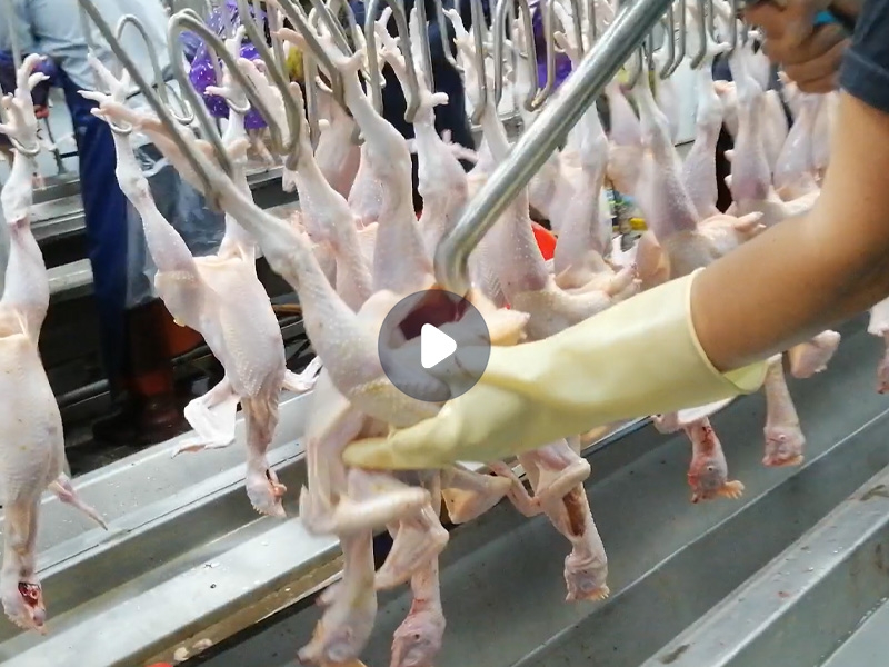 吸肺機(jī)（雞肺、甲魚內(nèi)臟、油脂）