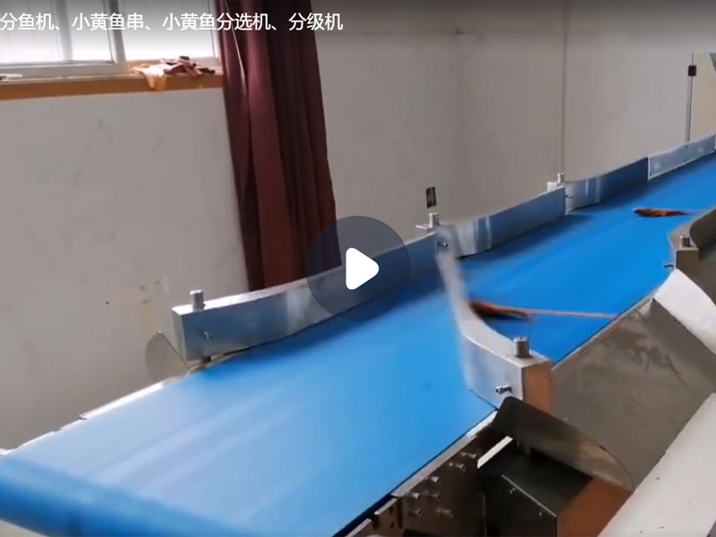 分魚(yú)機(jī)、小黃魚(yú)串、小黃魚(yú)分選機(jī)、分級(jí)機(jī)