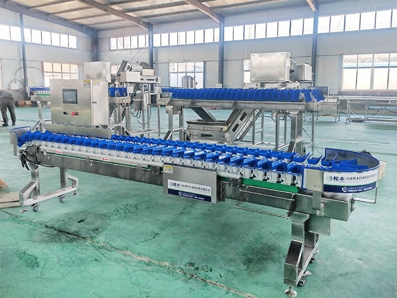 海蠣子、海參、海產(chǎn)品分選機